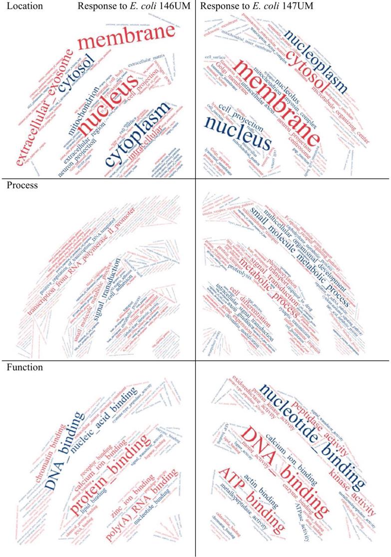 J Genomics Image