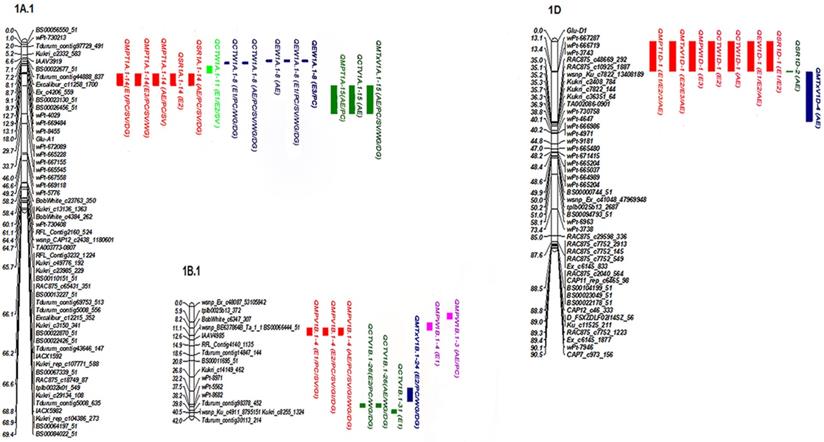 J Genomics Image