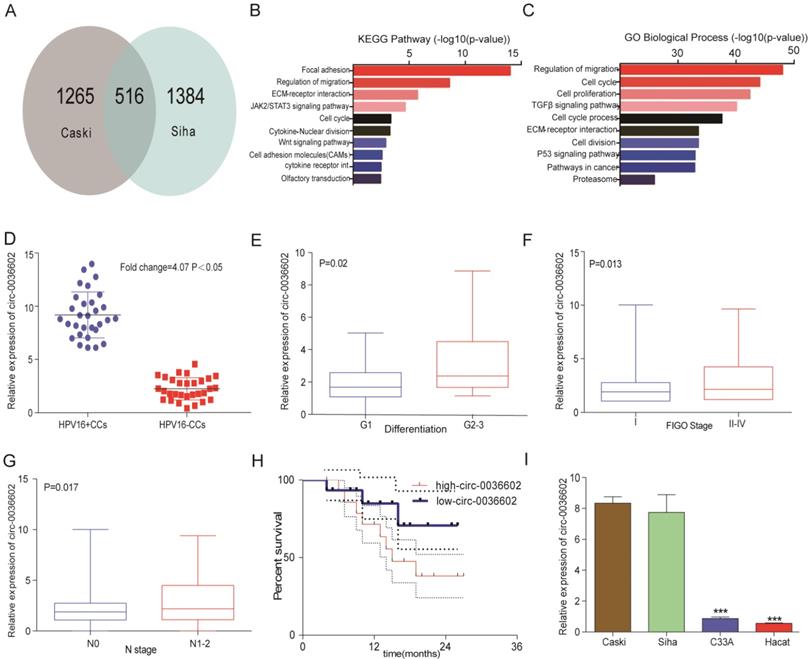 J Genomics Image