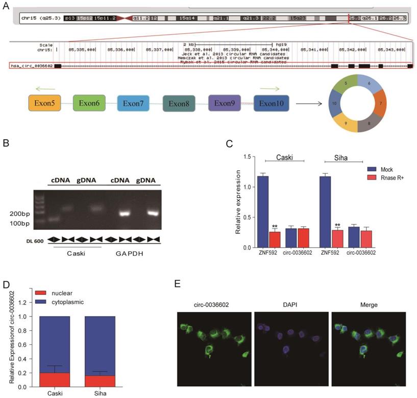 J Genomics Image