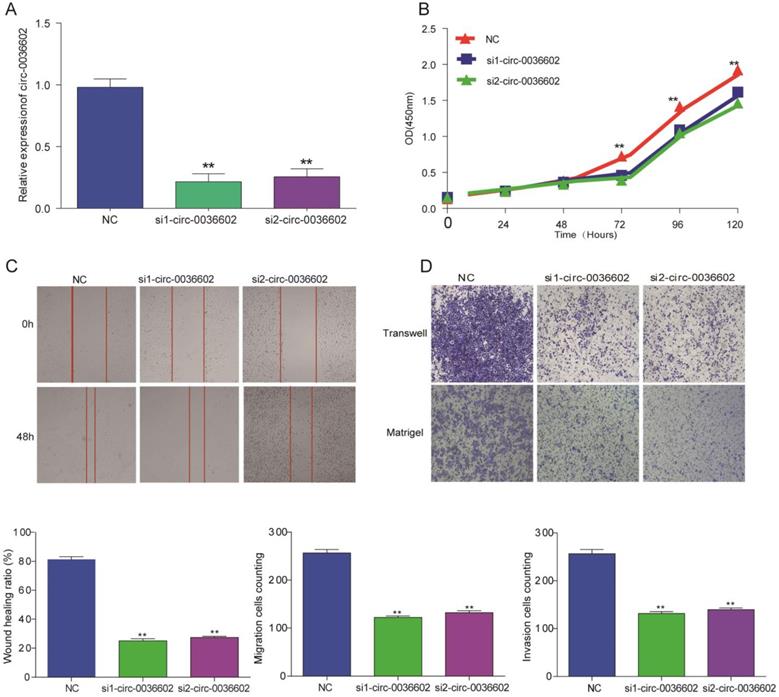 J Genomics Image