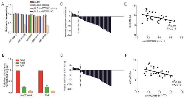 J Genomics Image