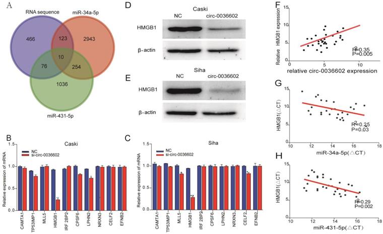 J Genomics Image