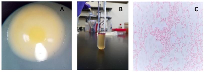 J Genomics Image