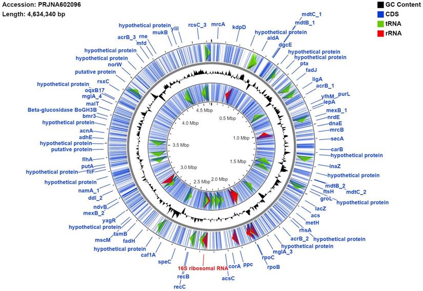 J Genomics Image