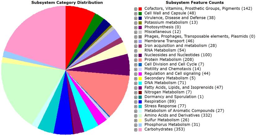 J Genomics Image