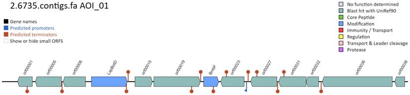 J Genomics Image