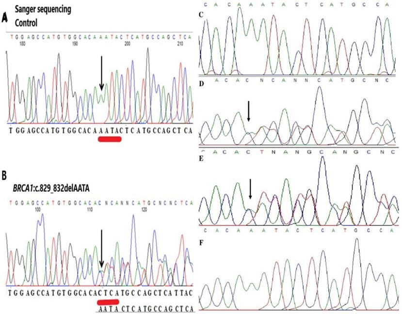 J Genomics Image