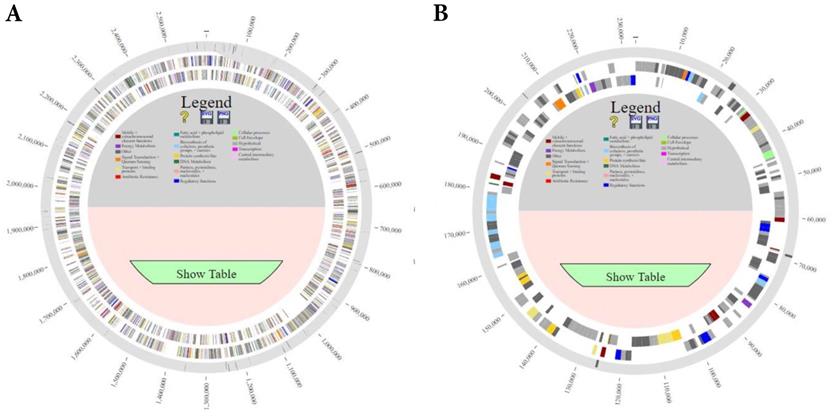 J Genomics Image