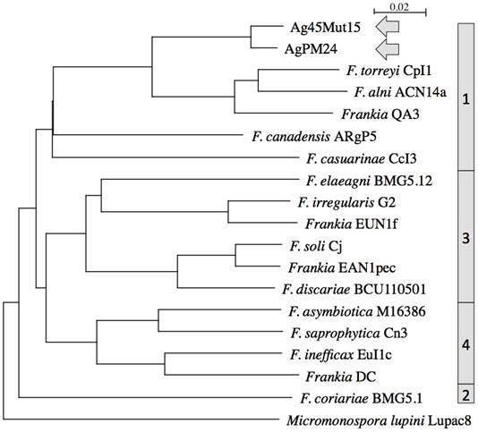 J Genomics Image