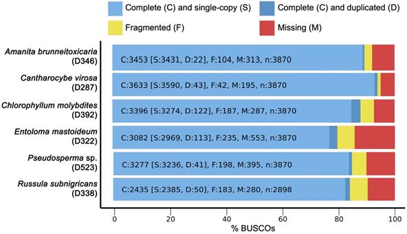 J Genomics Image