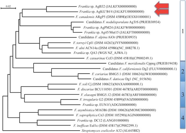 J Genomics Image