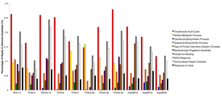 J Genomics Image