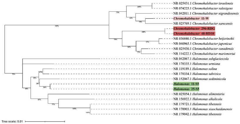 J Genomics Image