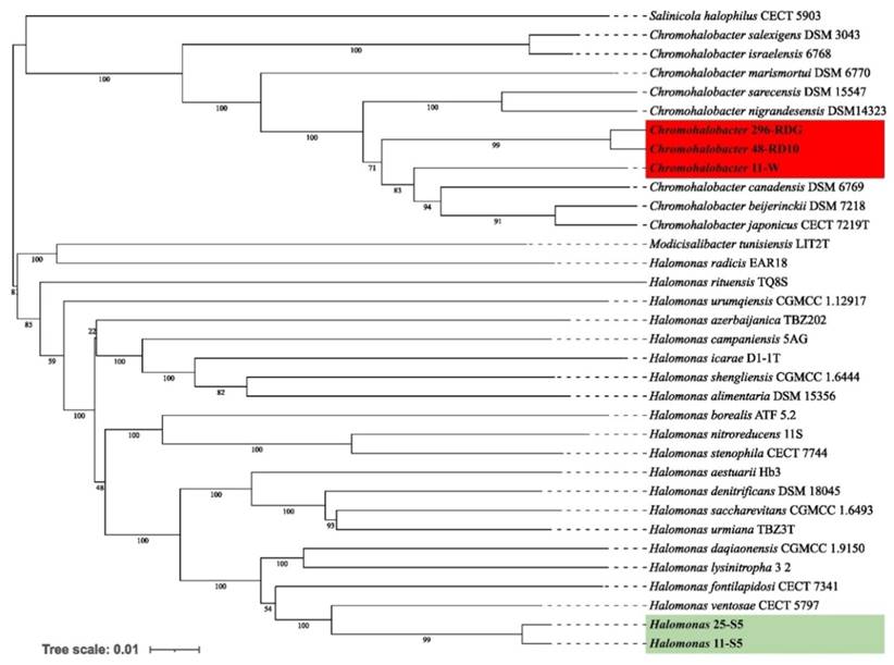 J Genomics Image