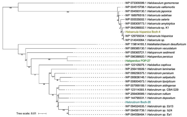 J Genomics Image