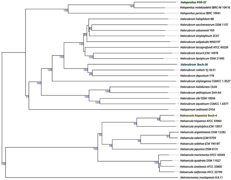 J Genomics Image