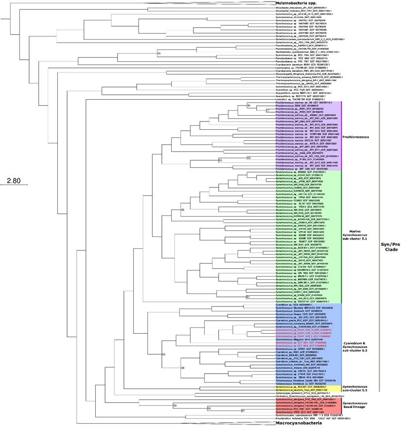 J Genomics Image