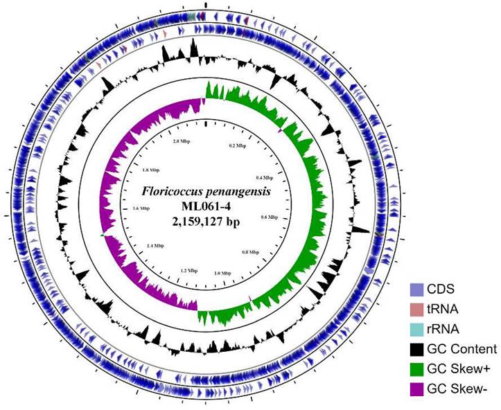 J Genomics Image