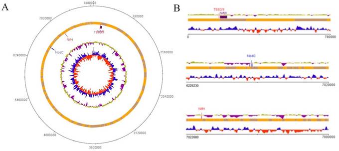 J Genomics Image