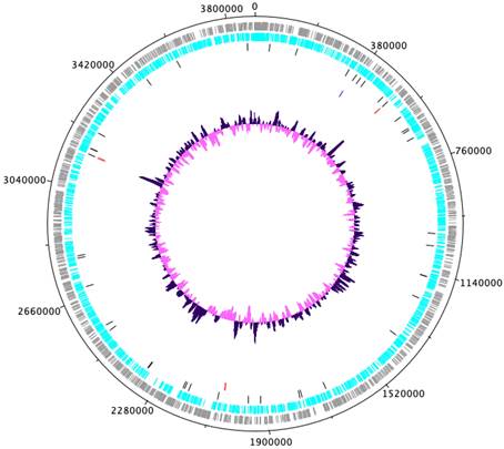 J Genomics Image