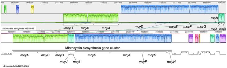 J Genomics Image