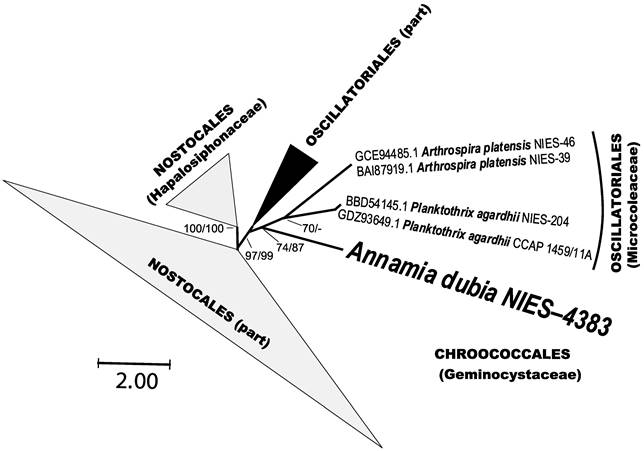 J Genomics Image