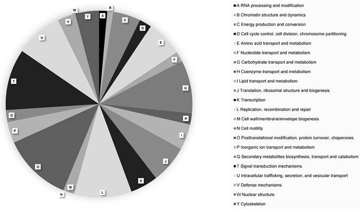 J Genomics Image