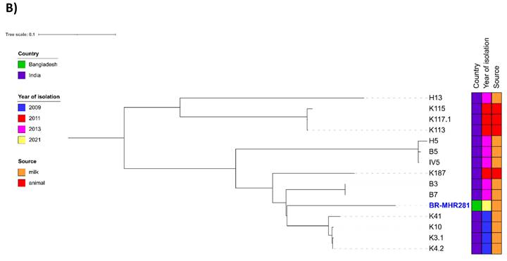 J Genomics Image