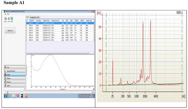 J Genomics Image