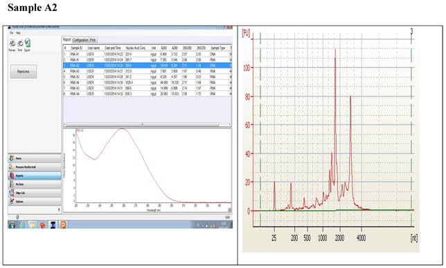 J Genomics Image