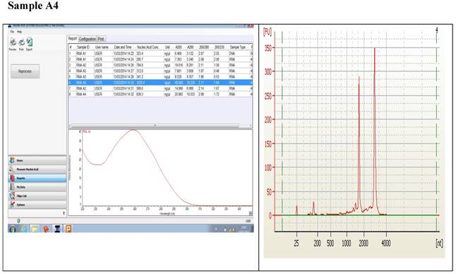 J Genomics Image