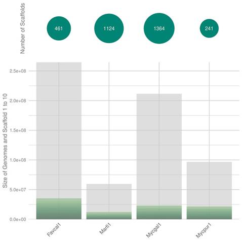 J Genomics Image