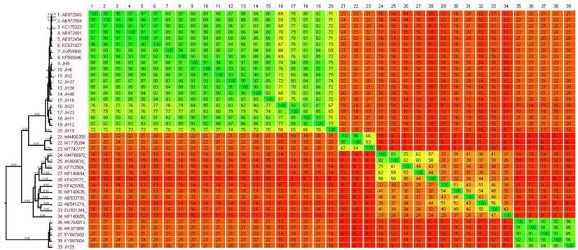 J Genomics Image