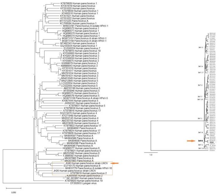 J Genomics Image