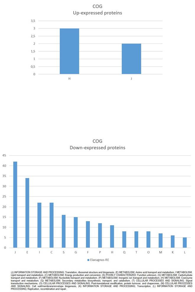 J Genomics Image