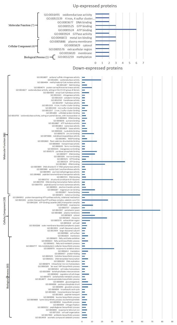 J Genomics Image