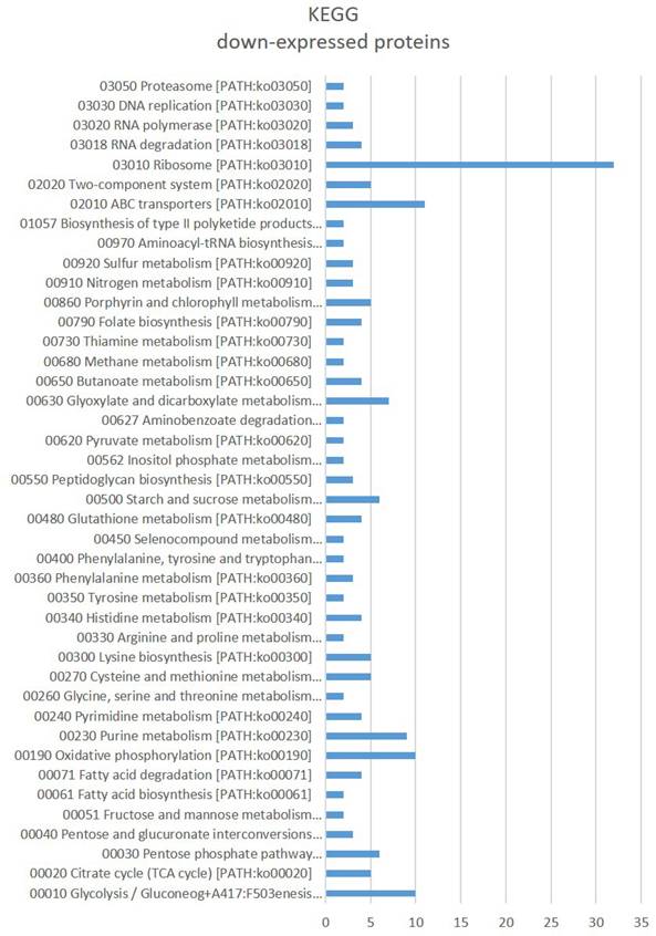 J Genomics Image