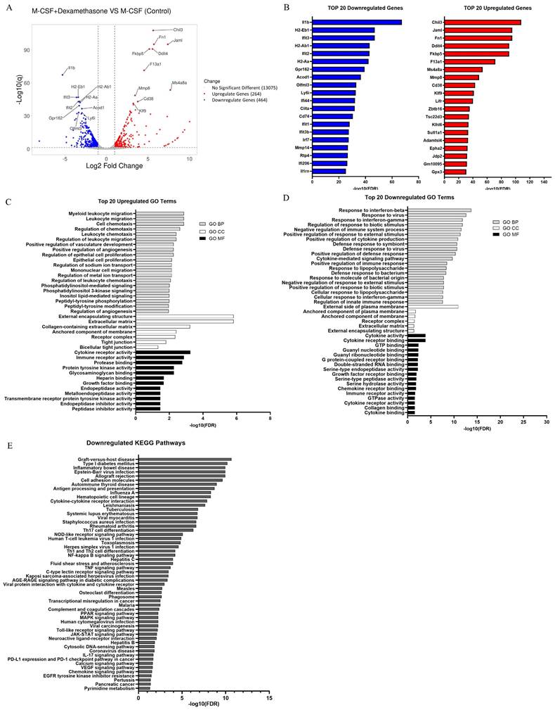 J Genomics Image