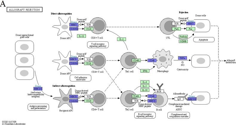 J Genomics Image