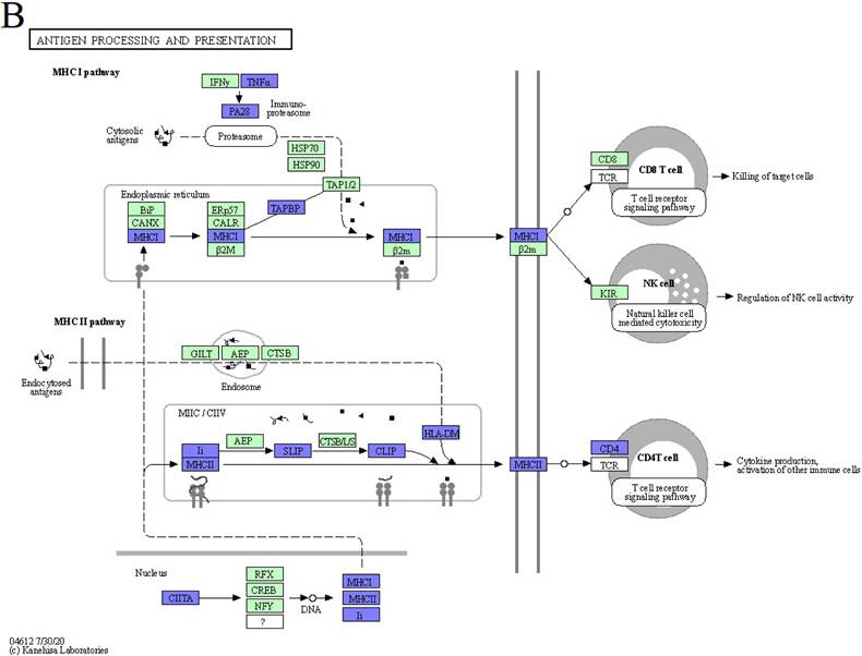 J Genomics Image