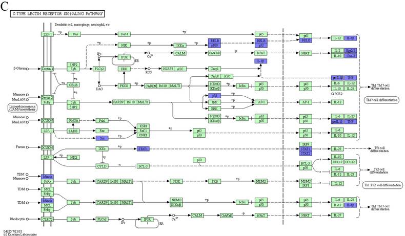 J Genomics Image