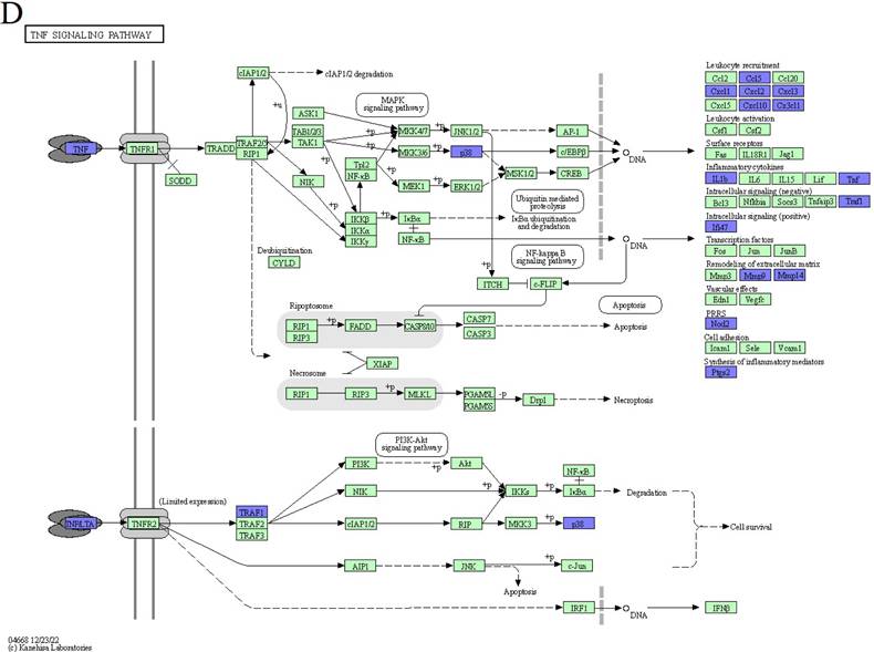 J Genomics Image