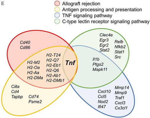 J Genomics Image