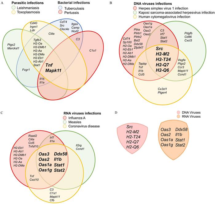 J Genomics Image