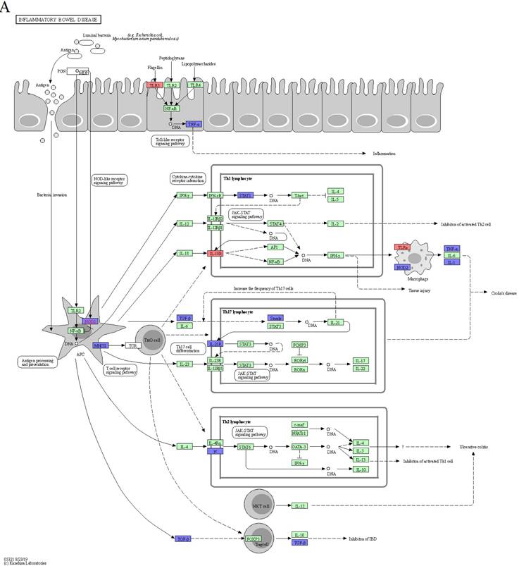 J Genomics Image