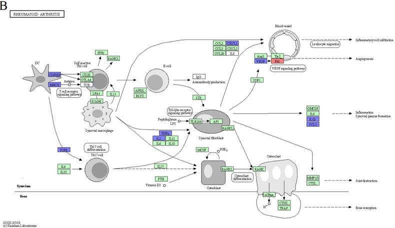 J Genomics Image