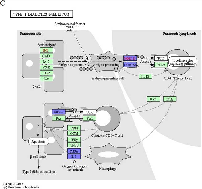 J Genomics Image