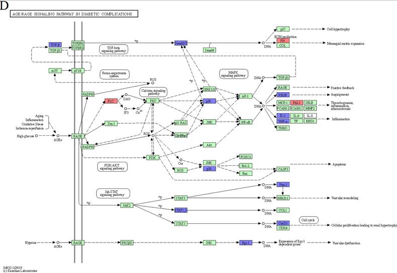 J Genomics Image