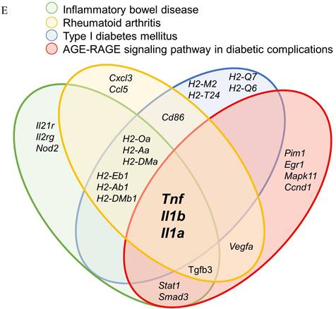 J Genomics Image
